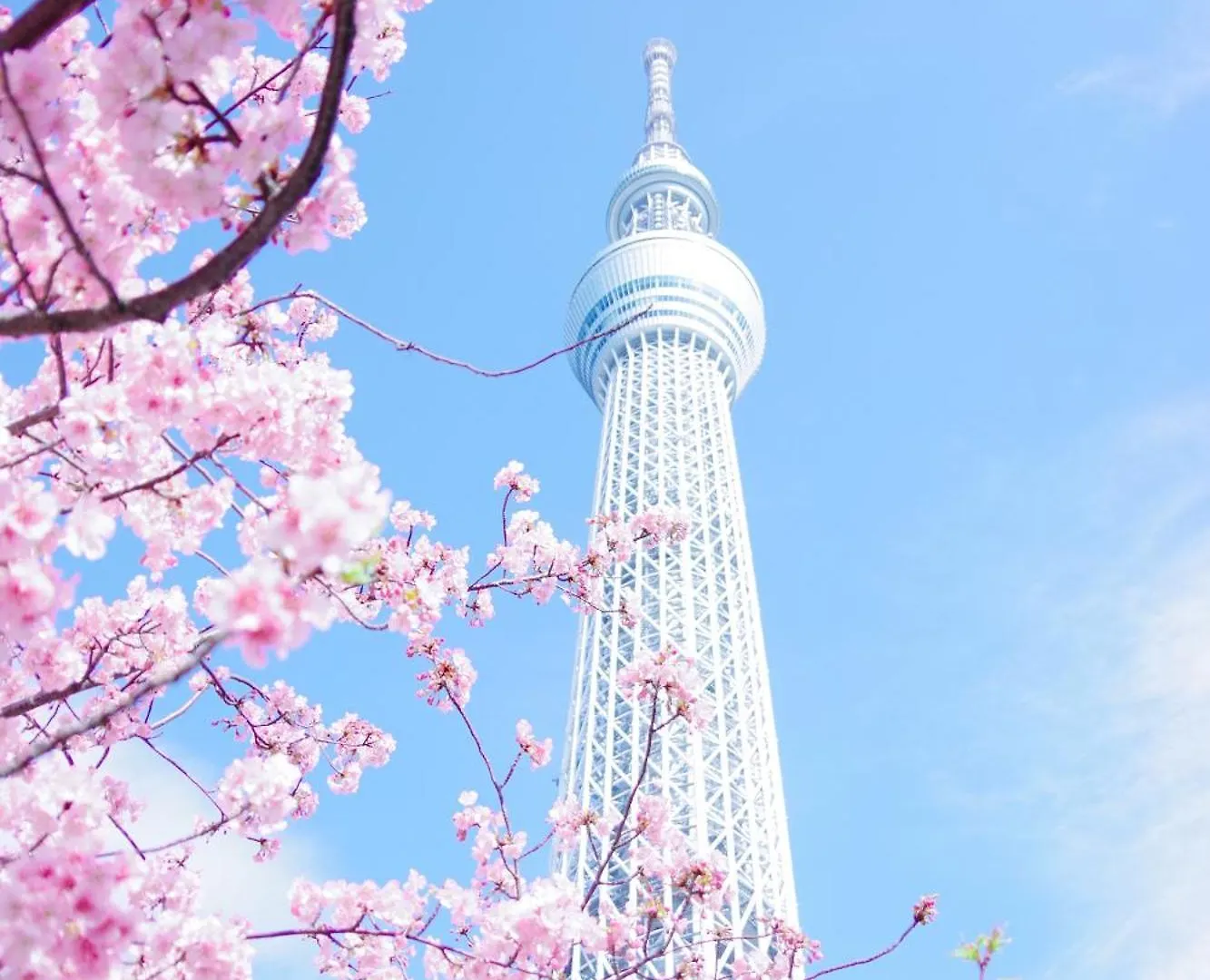 Hotel Tokyo Ueno Designer Room: Park & Station Proximity